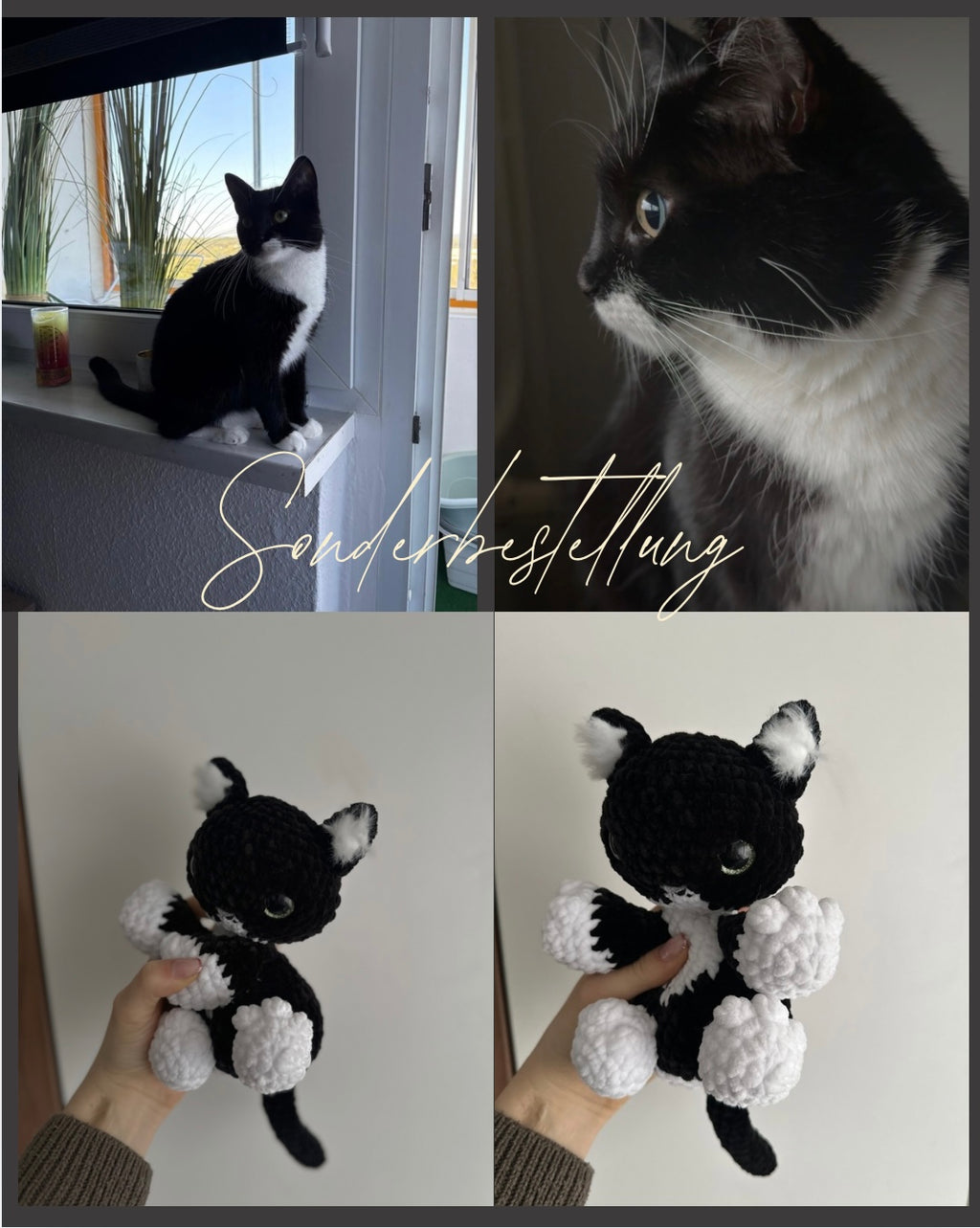 Katze
