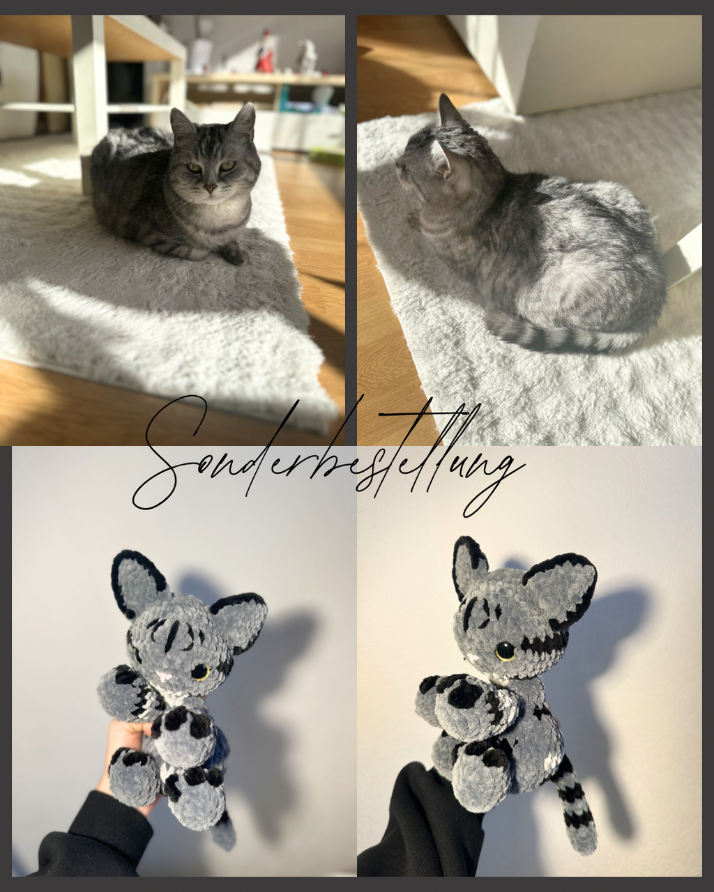 Katze