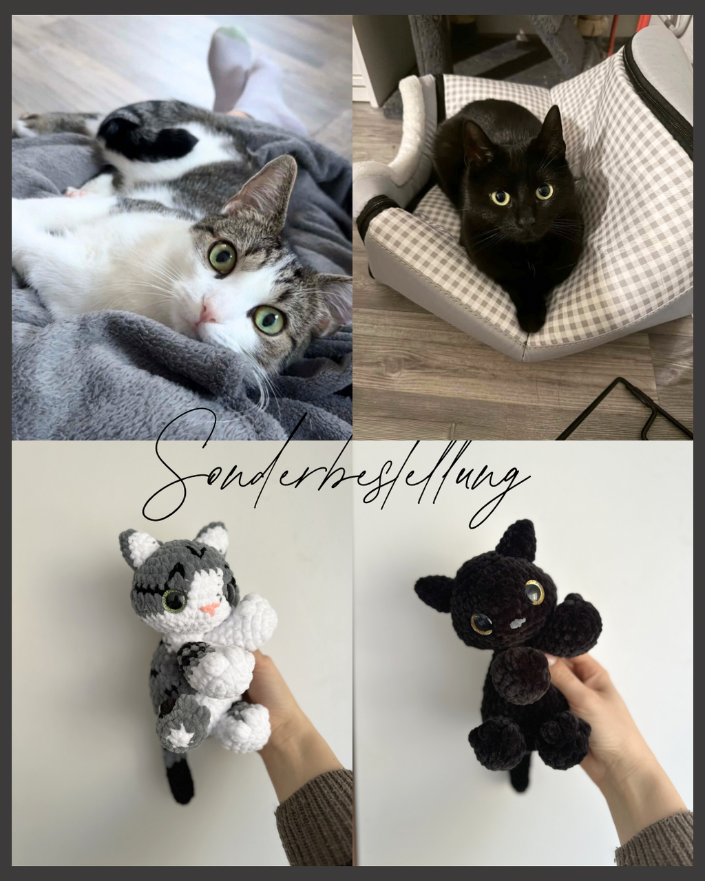 Katze